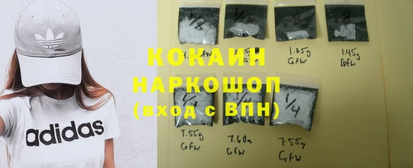 амф Богданович