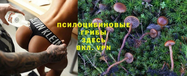 таблы Бородино