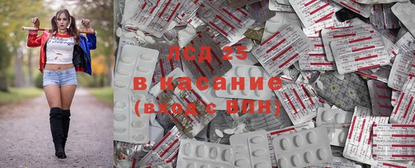 сатива Богородск