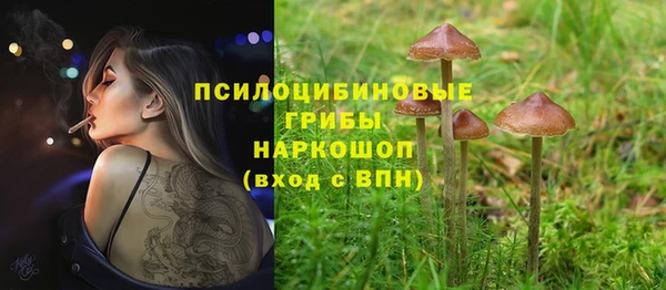 амф Богданович