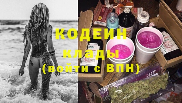 таблы Бородино
