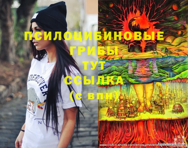 сатива Богородск