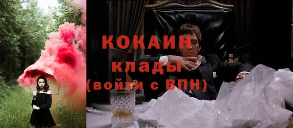амф Богданович