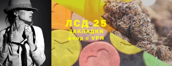 амф Богданович