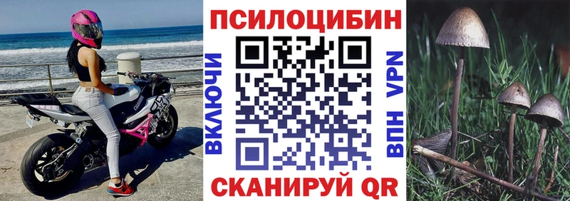 Галлюциногенные грибы Magic Shrooms  omg маркетплейс  Кореновск 